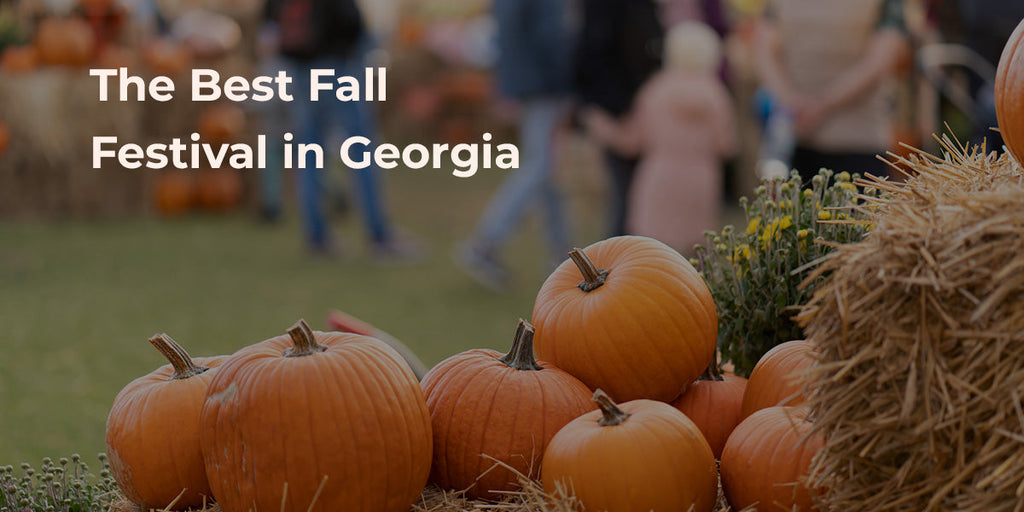 Georgia Country Fall The Best Fall Festival in Georgia
