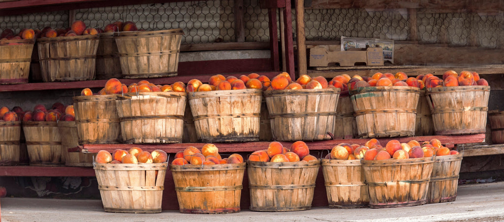 Refreshing Peach Recipes to Cool You Down This Summer