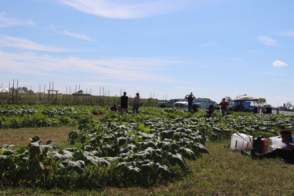Why You Should Shop Produce Straight From The Farm