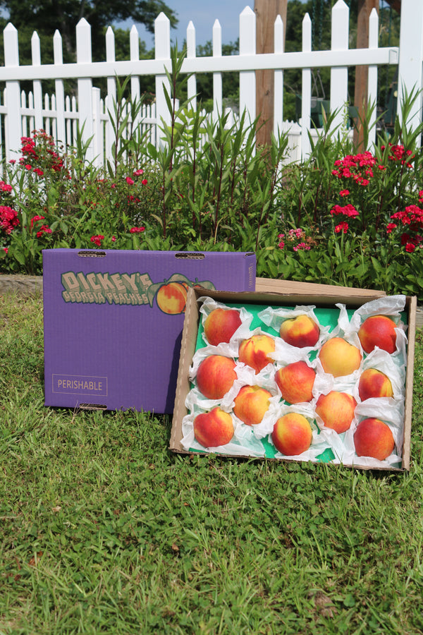 Farm Fresh Georgia Peaches (13-Count)