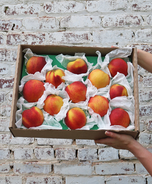 Farm Fresh Georgia Peaches (13-Count)