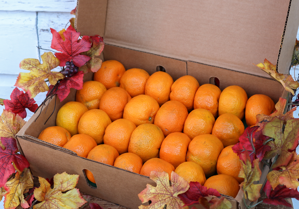a cardboard box filled with oranges and leaves
